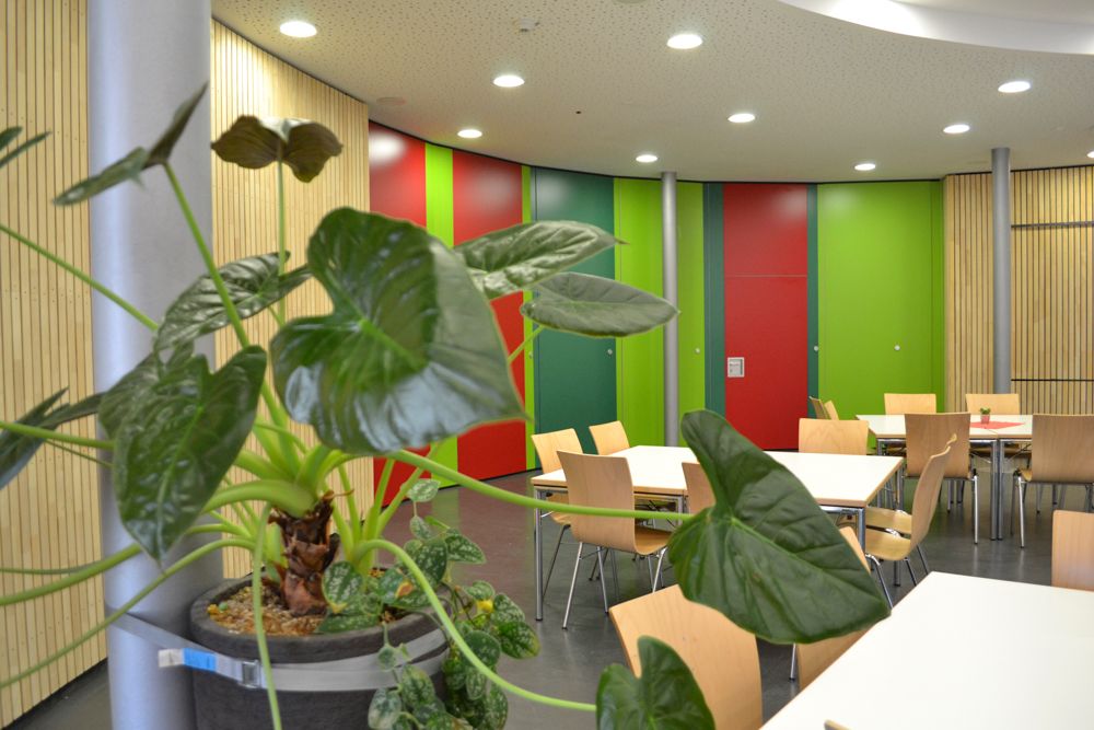 Bildungszentrum Meckenbeuren