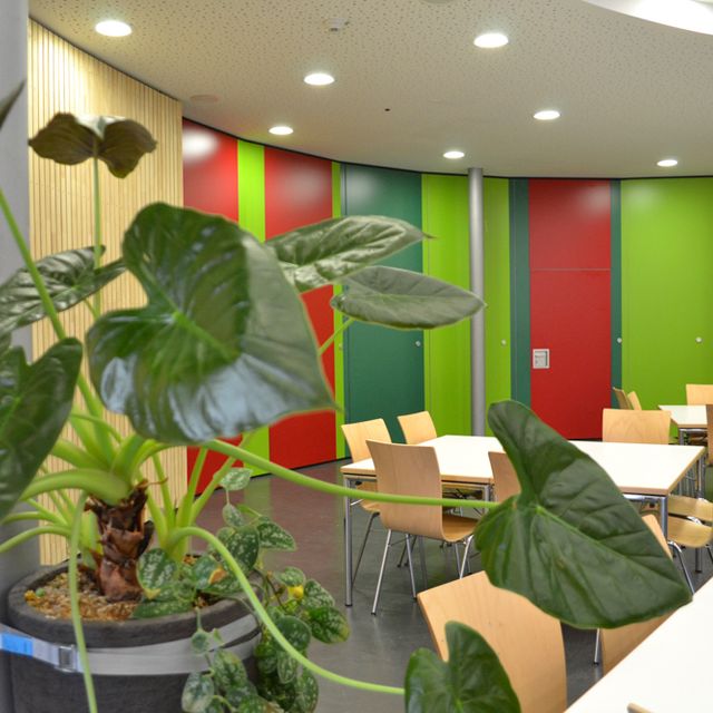 Bildungszentrum Meckenbeuren